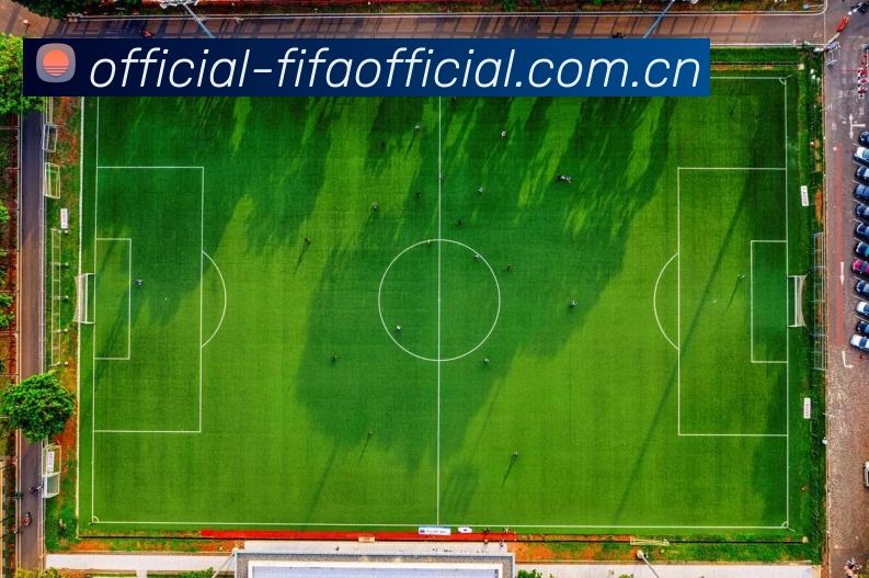 FIFA官方数据授权认证